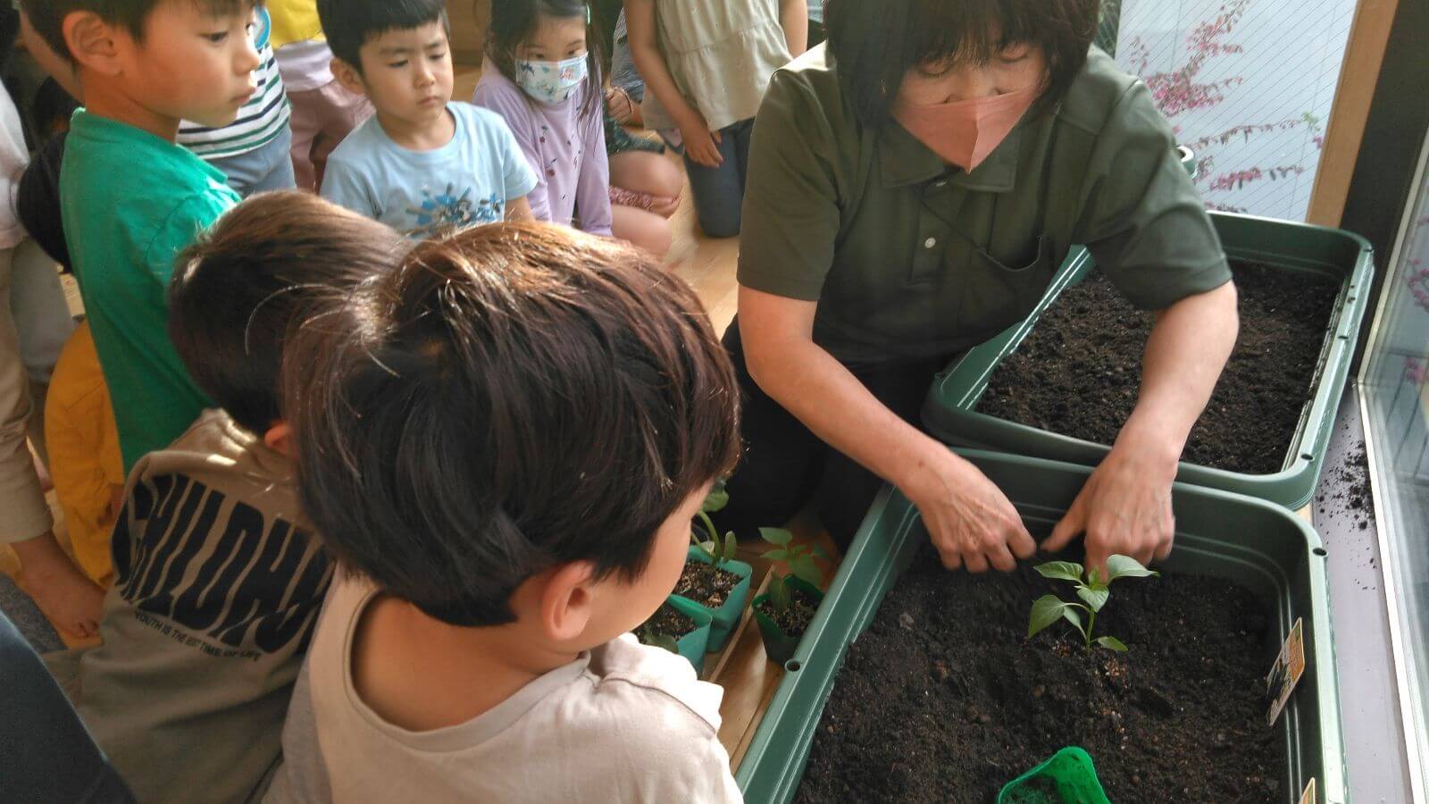 中目黒どろんこ保育園の畑コーナー