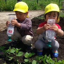 畑に水やりする子どもたち