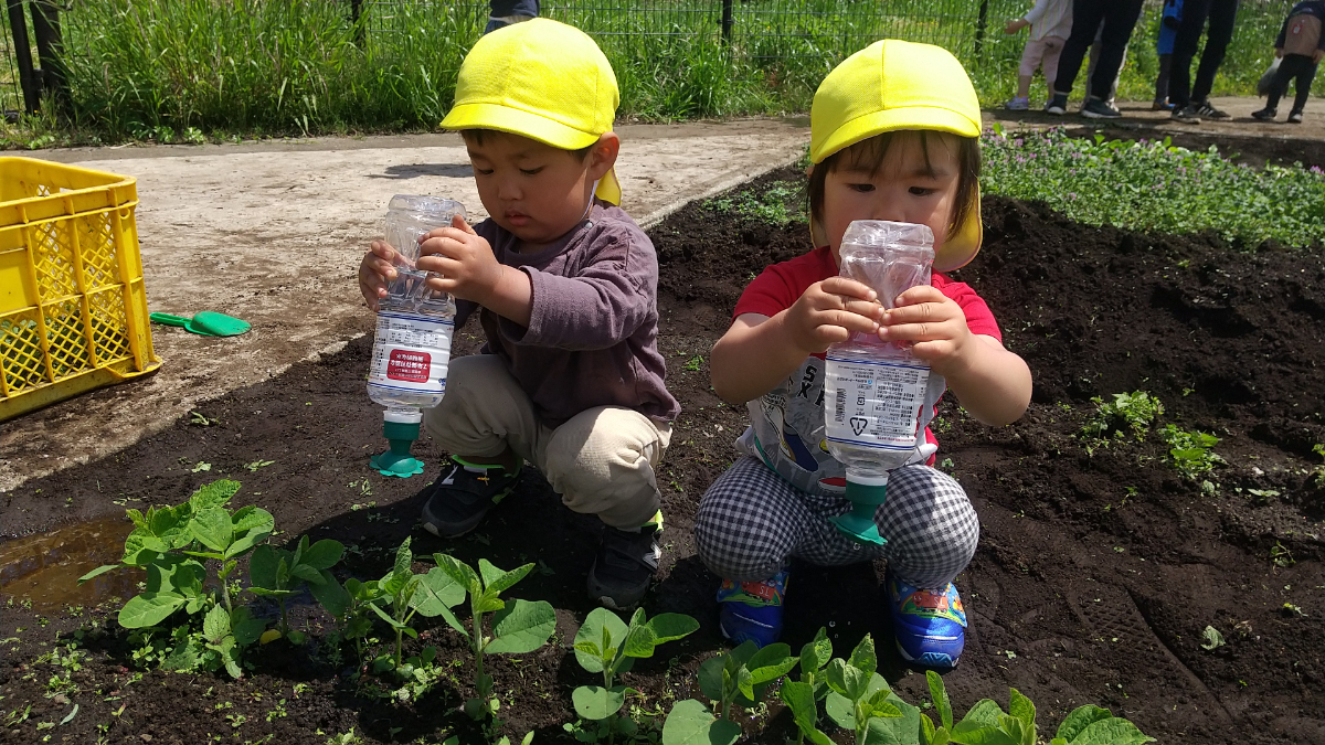 畑に水やりする子どもたち