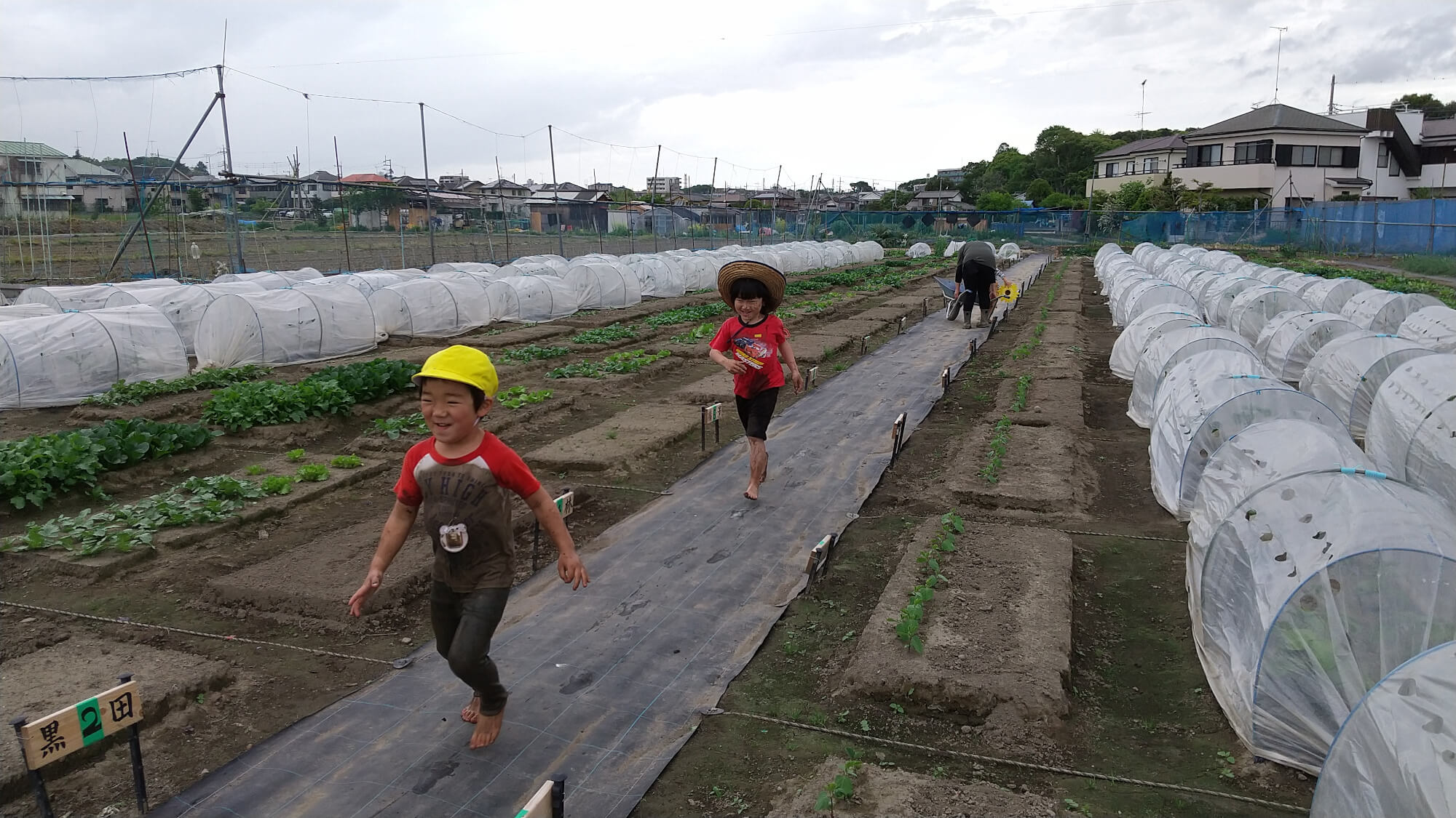 畑で遊ぶ子どもたち