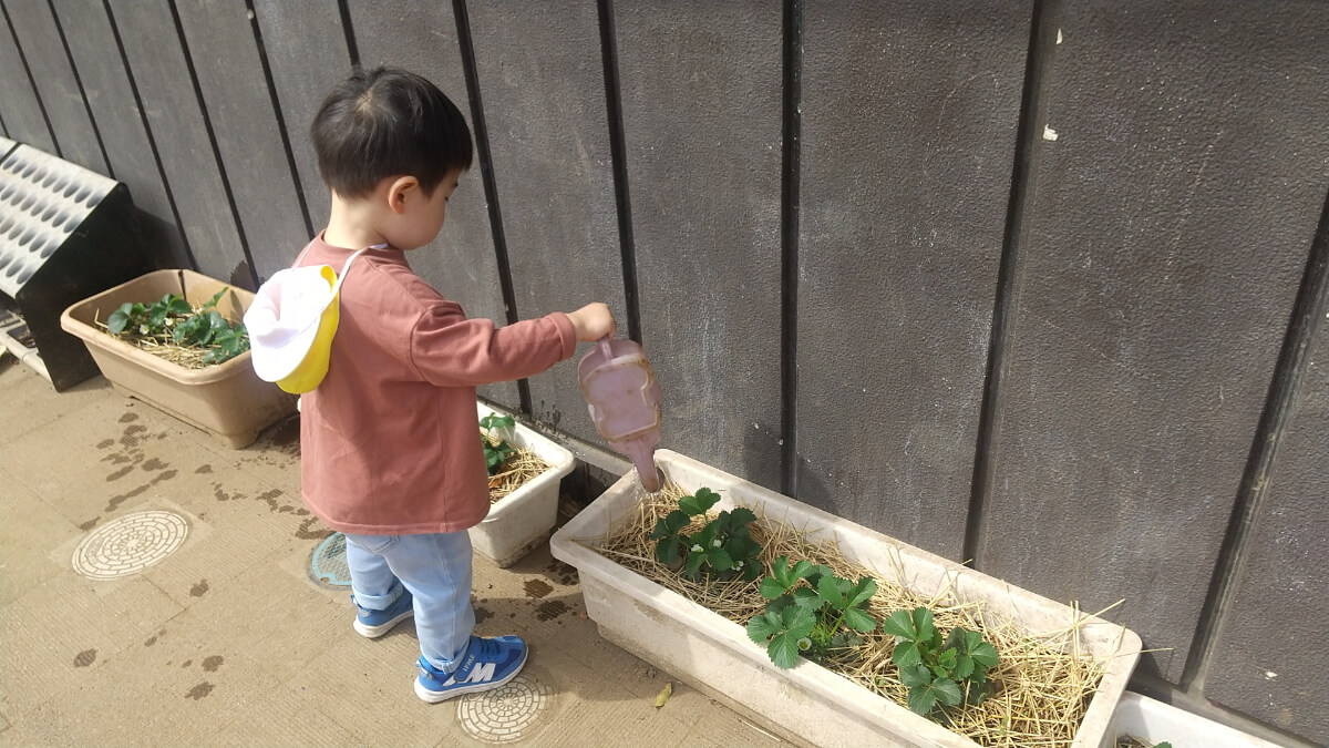 水やりする子ども