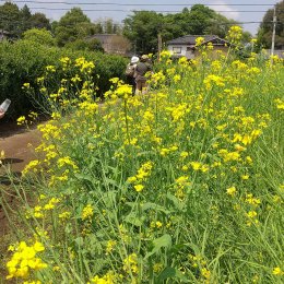 発達支援つむぎ 桶川「2022年　畑仕事はじまります」