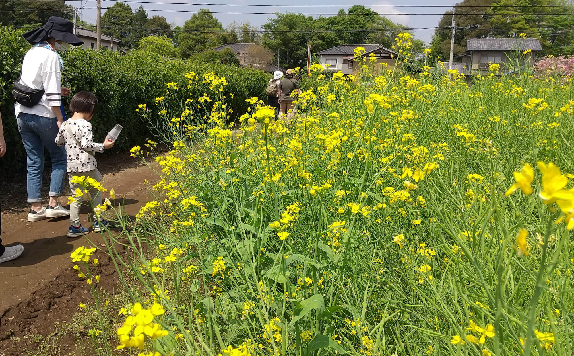 畑に向かう子どもたち