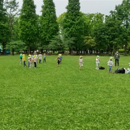 青空の下でお弁当