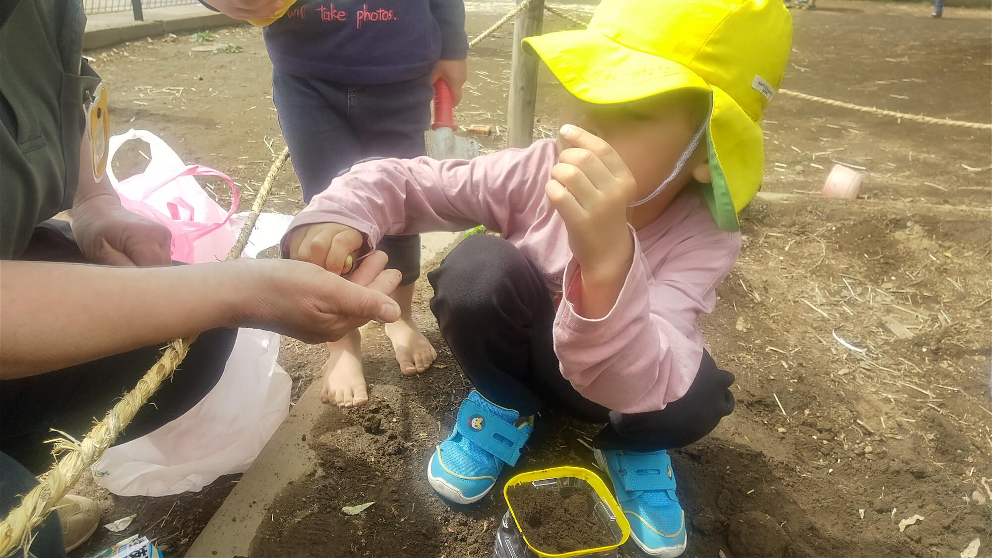 ペットボトルの容器に種を植える子ども