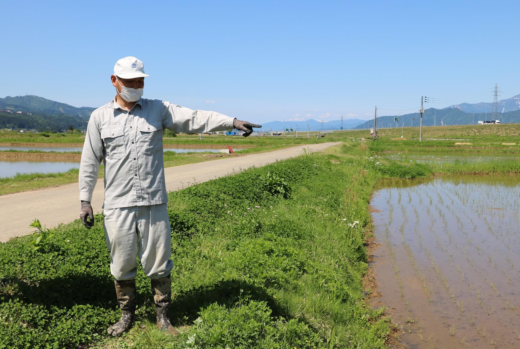 田んぼのことをいろいろ説明してくださった外谷さん