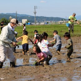 田植えツアーが2年ぶりに復活！いざ南魚沼へ　どろんこ会ならではの食育体験を満喫