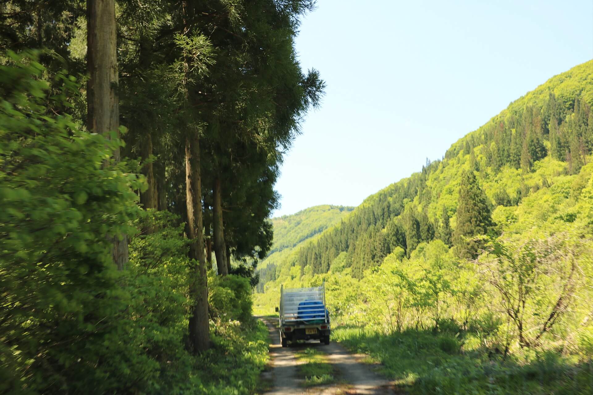 山道を進み中山間地の棚田へ