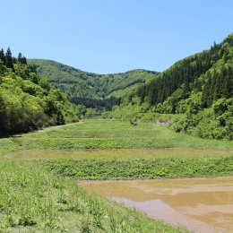 三方を山に囲まれた田んぼ