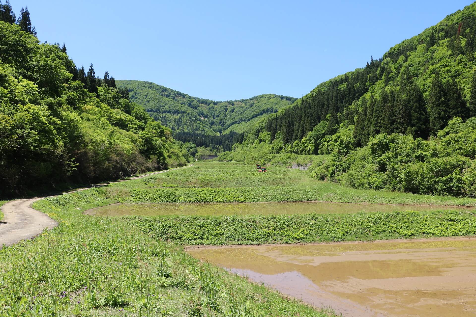 三方を山に囲まれた田んぼ