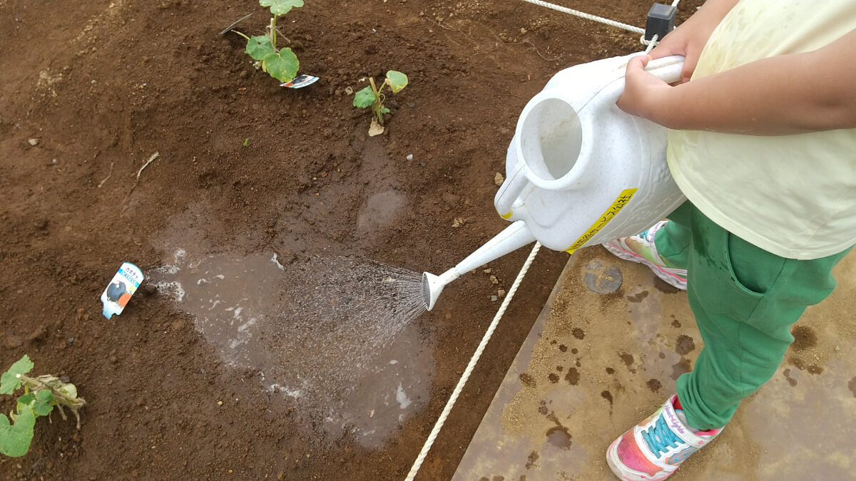 畑に水をまく子ども