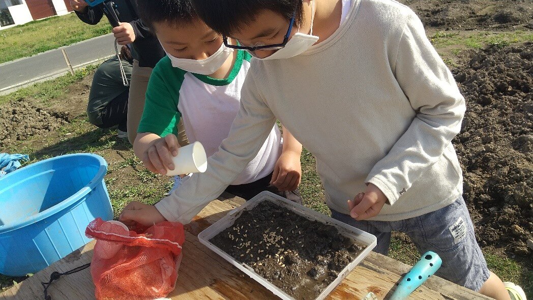 稲づくりに試行錯誤する子どもたち