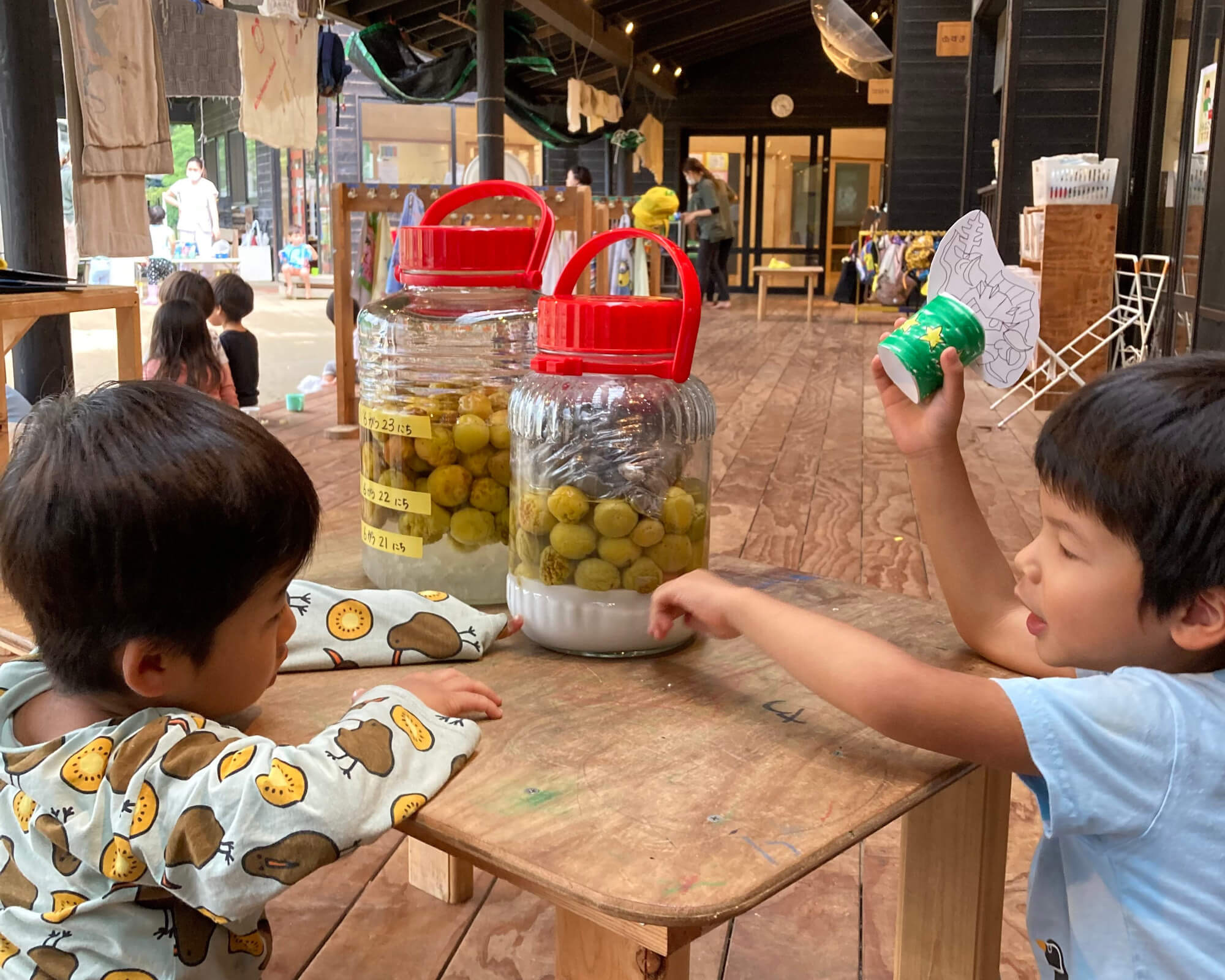 梅シロップと梅干しを観察する子どもたち