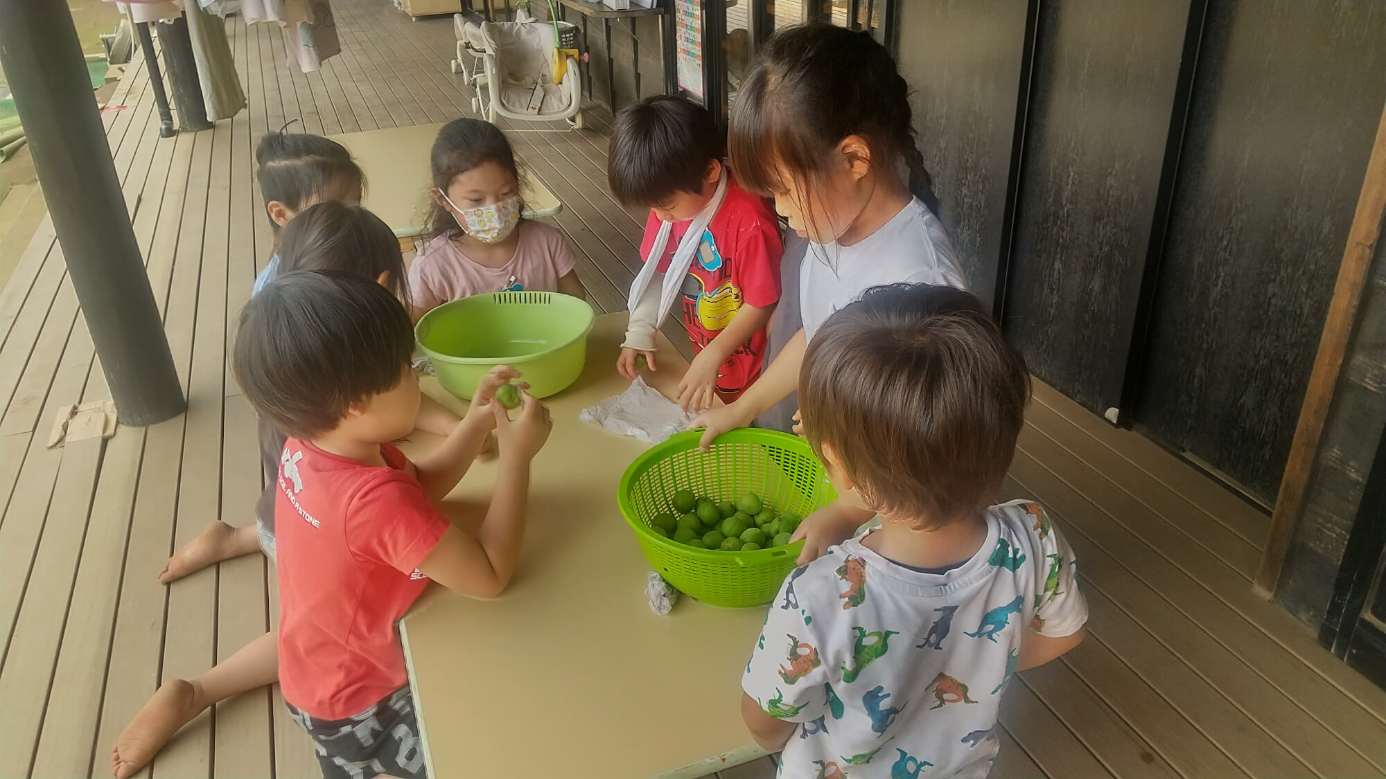 梅の選別をする子どもたち