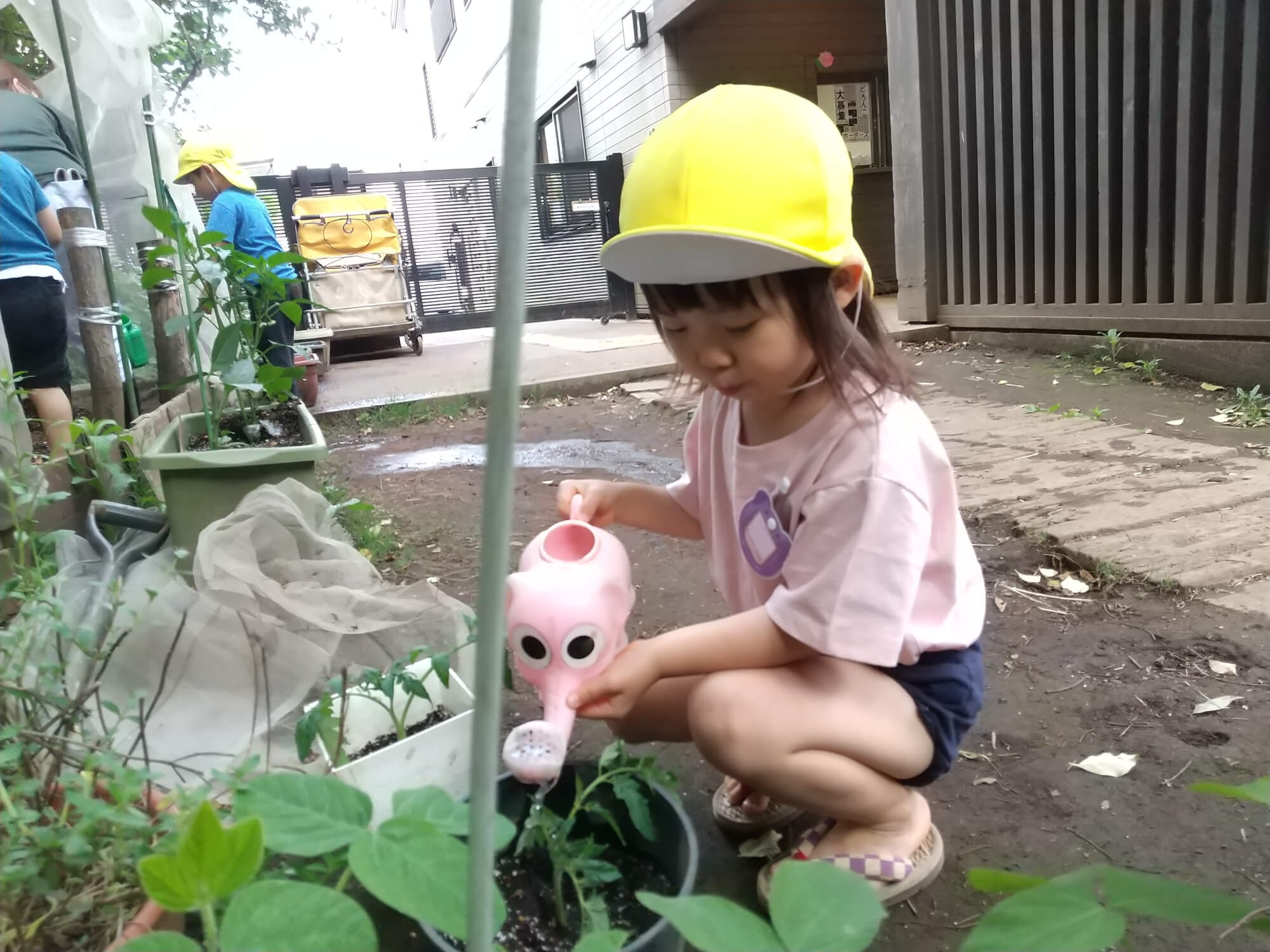 プランターに水をあげる子ども