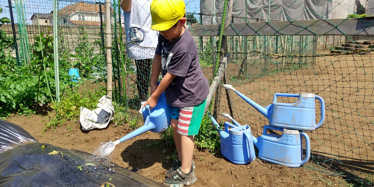 畑に水やりする子どもたち