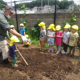 畑仕事をする子どもたち