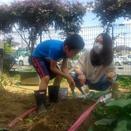 発達支援つむぎ ふじみ野「つむぎを卒園した一年生とじゃがいもを掘ろう」