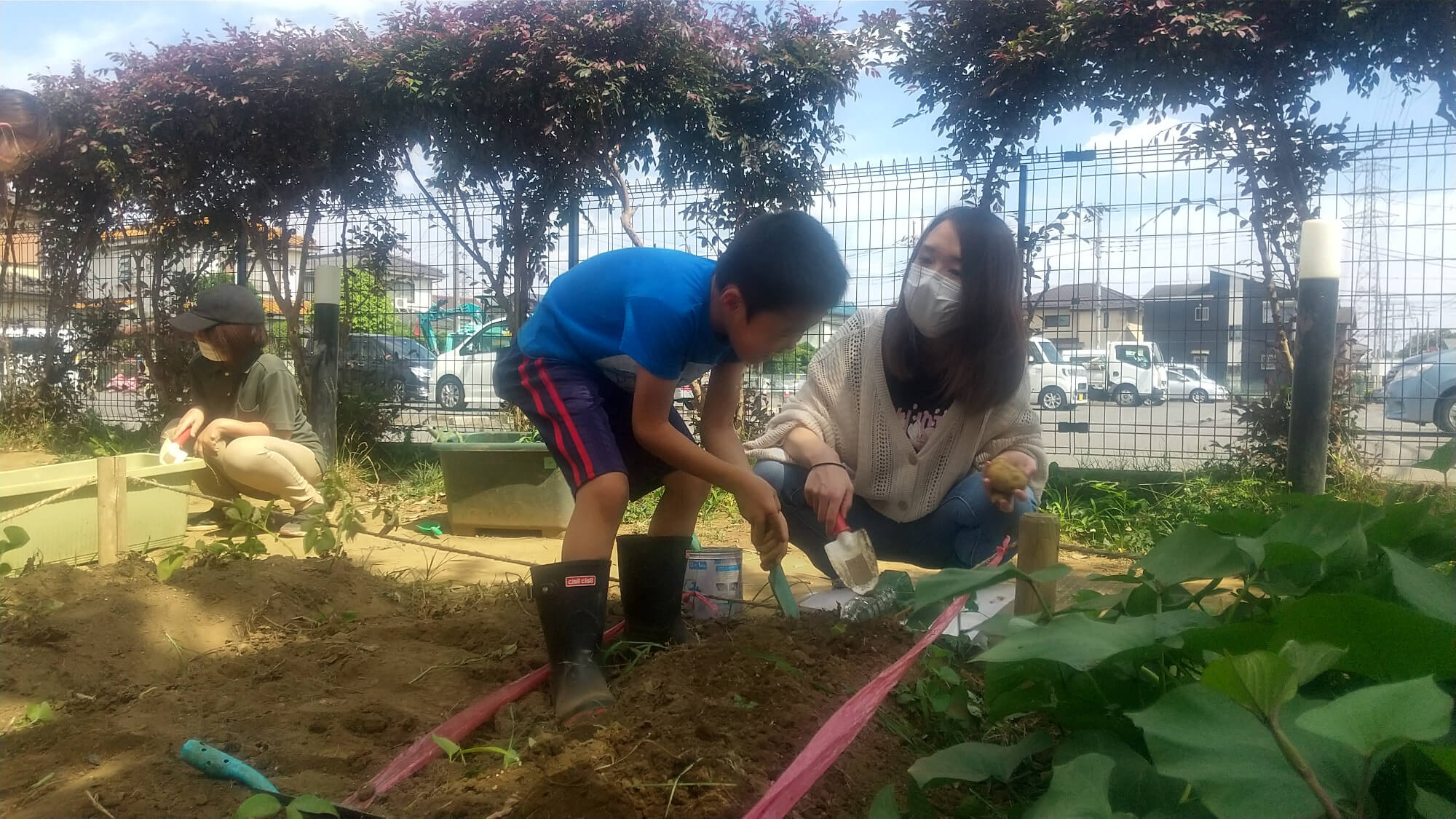 じゃがいも掘りをする子ども