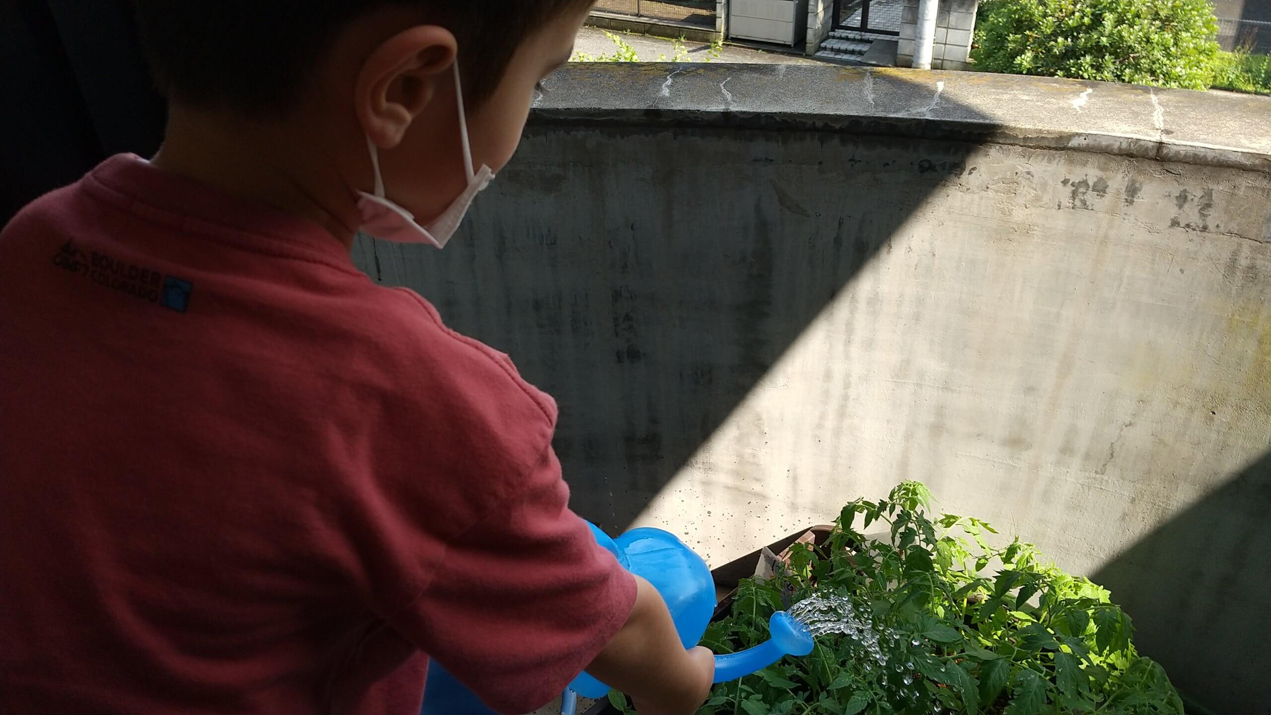 水やりをする子ども