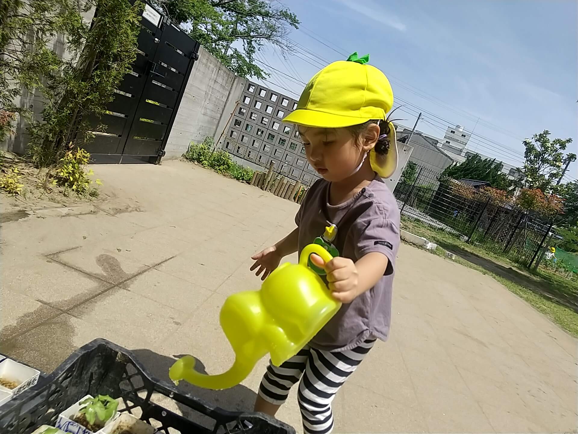 水やりをする子どもたち