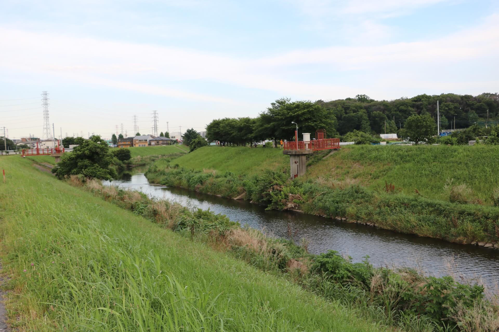 朝霞どろんこの横を流れる黒目川