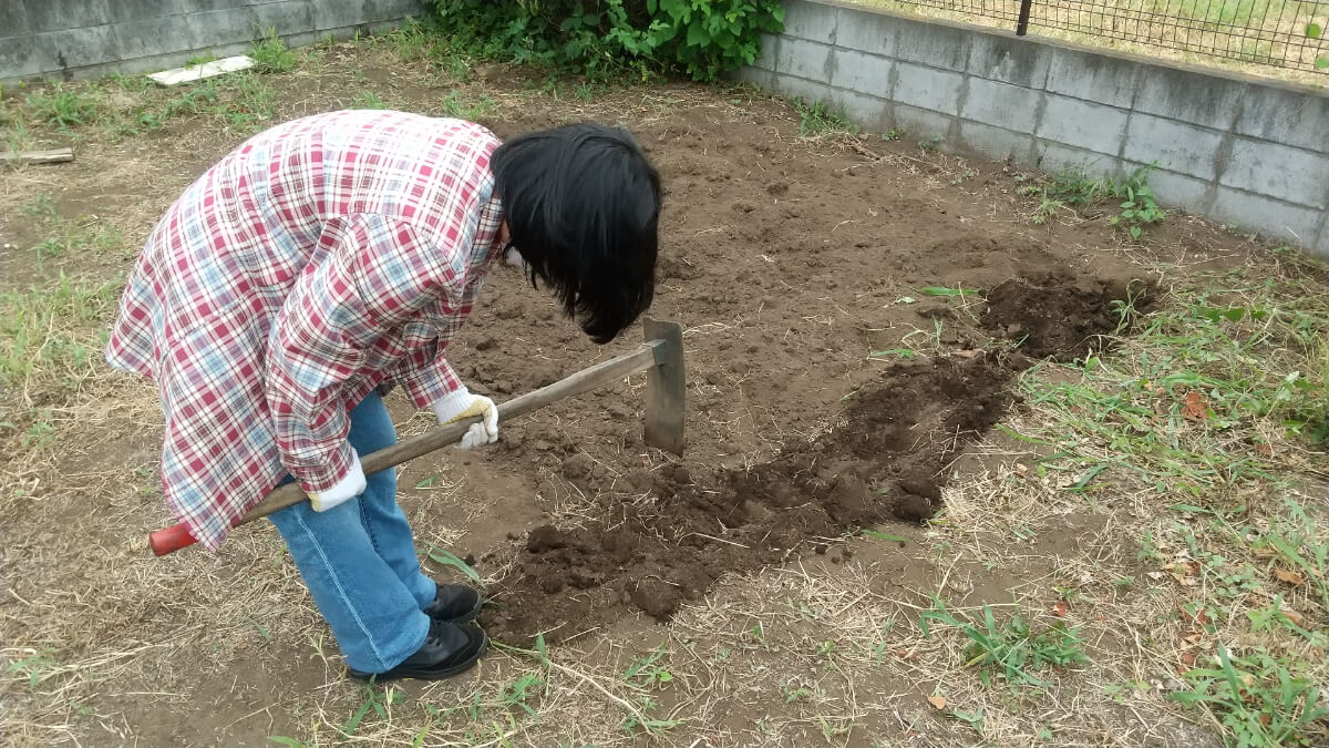 鍬で耕す高校生