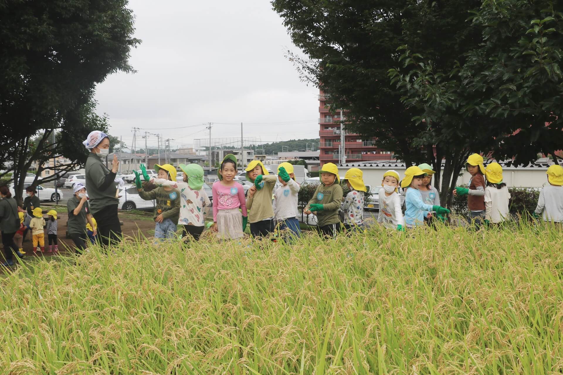 任された田んぼを前にする5歳児たち