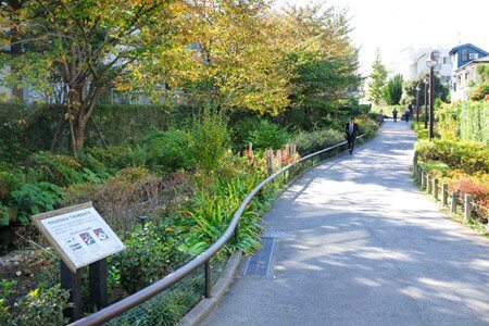 池尻の緑道