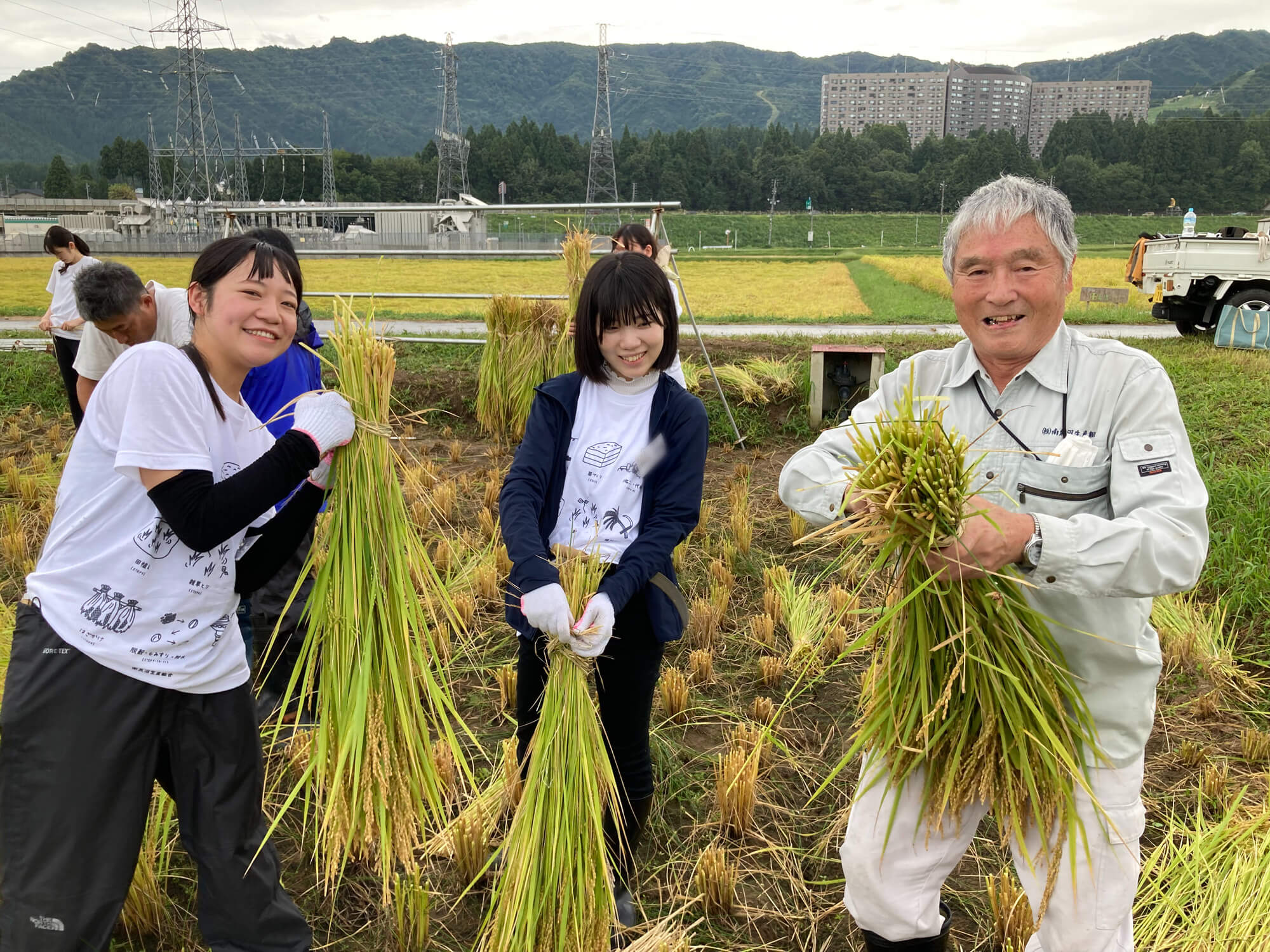 楽しく稲刈りに取り組む内定者