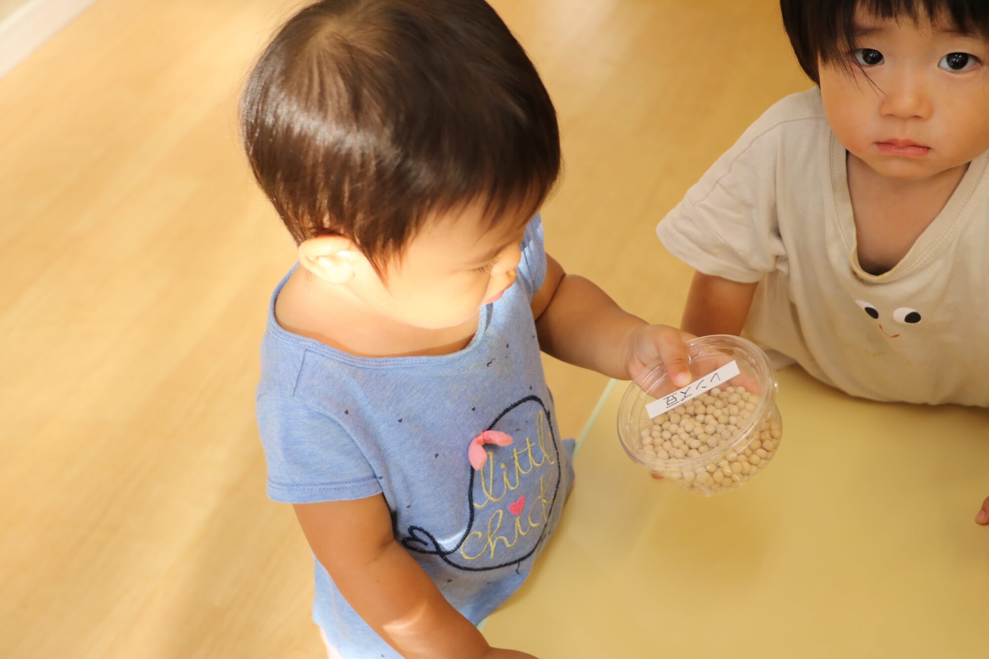 豆の色や形を観察している子どもたち