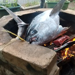 ふじみ野どろんこ保育園「命をいただく」