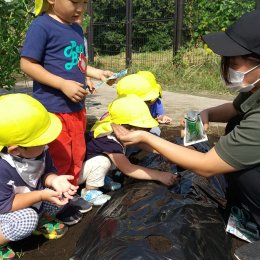 メリー★ポピンズ 豊洲「自分でできることを自分でやってみよう」