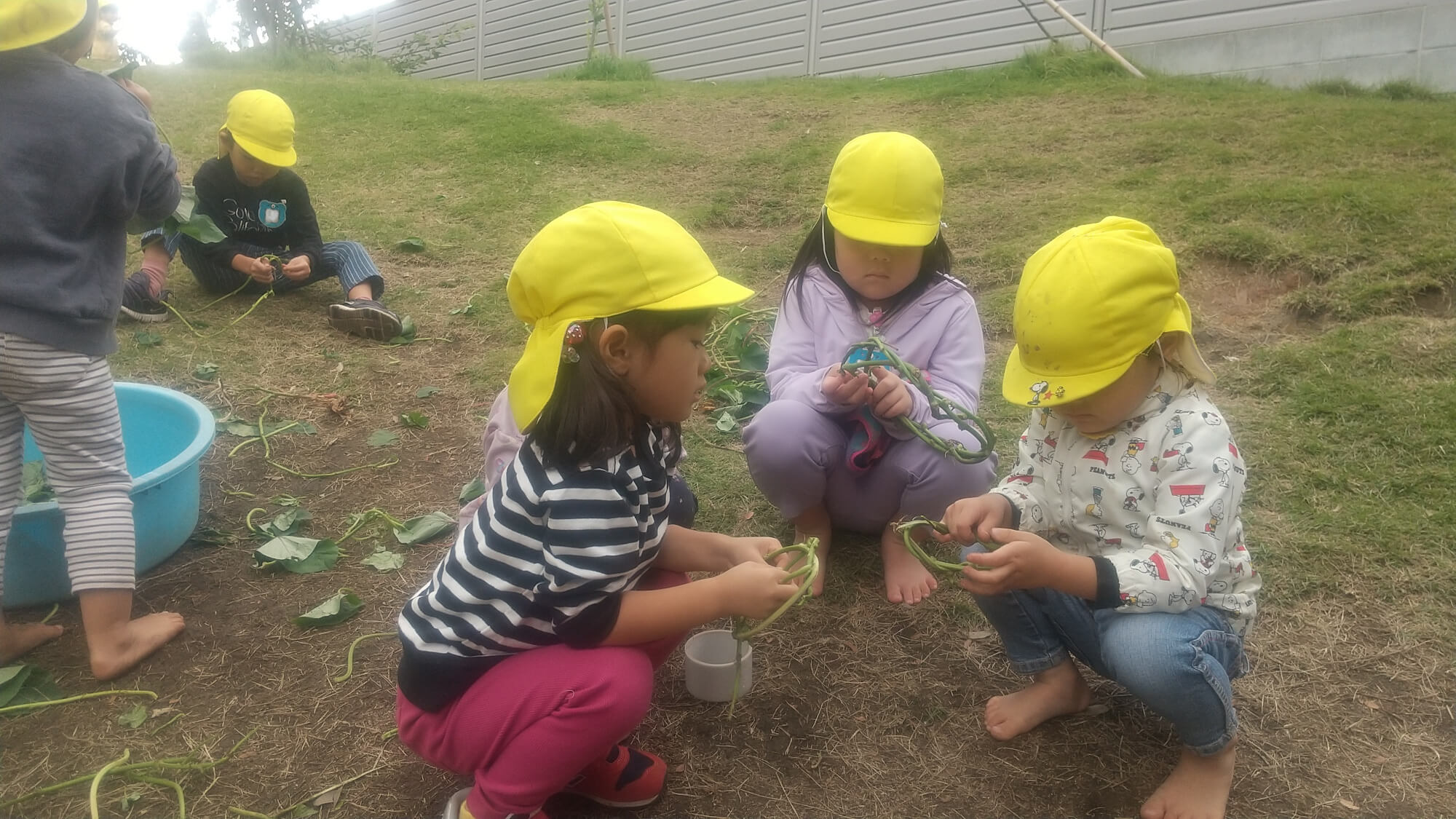 芋づるでリースを作る子どもたち