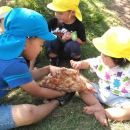 異年齢保育と環境構成　三筑どろんこ保育園の子どもたちが変わった！