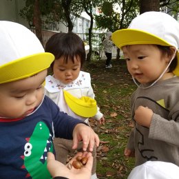 メリー★ポピンズ エスパル仙台「自然の秋」