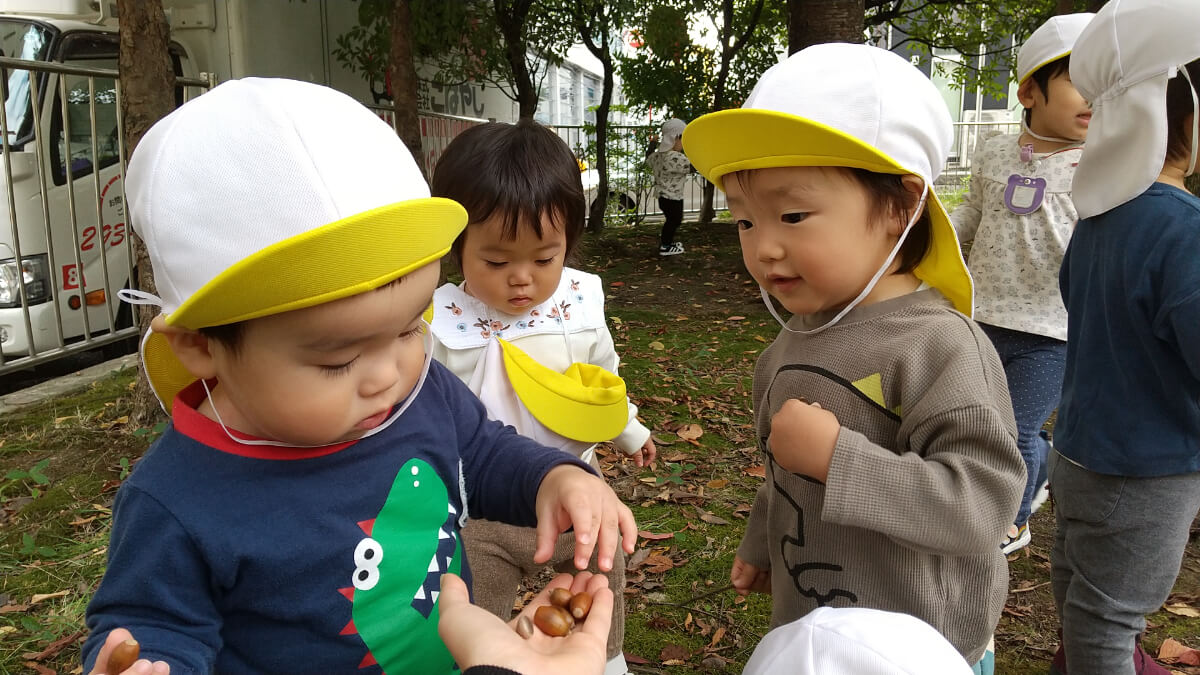 どんぐりを集める子どもたち