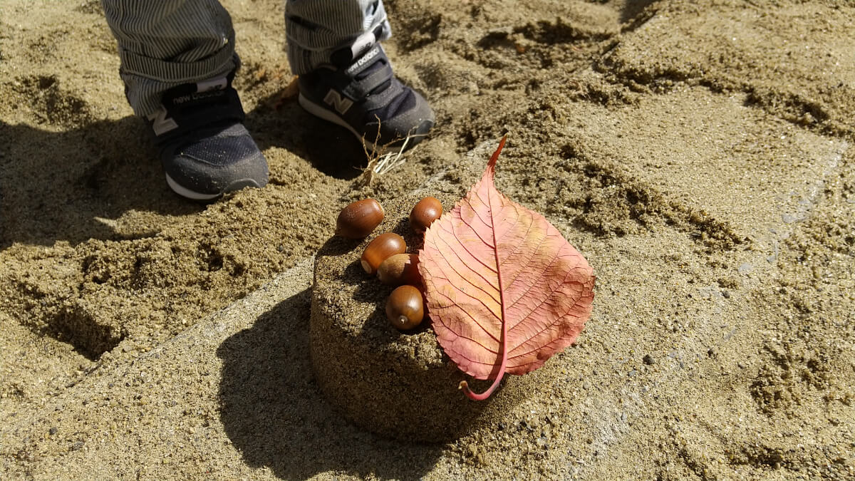 どんぐりケーキ