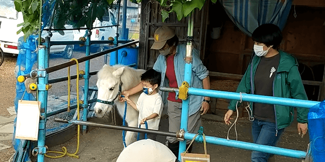 馬の手綱を持って一緒に歩く子ども