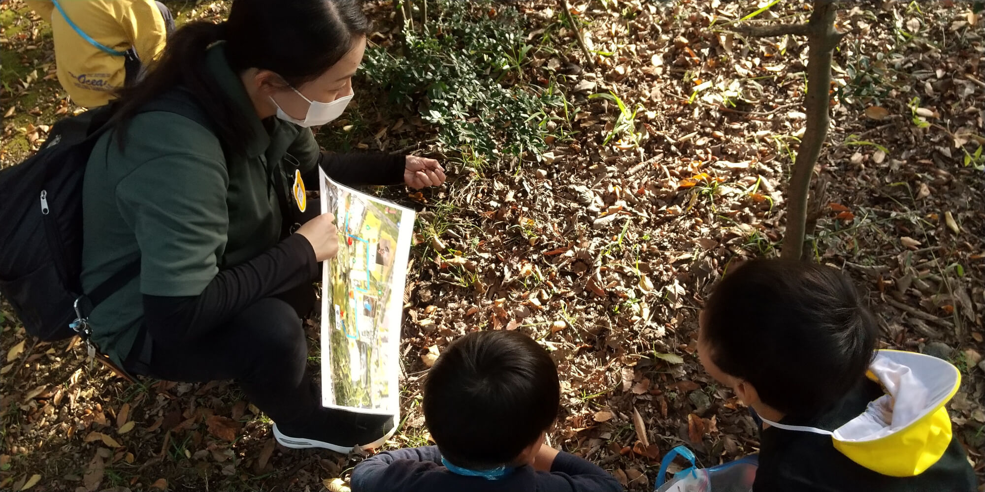 どんぐりを集める子どもたち