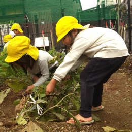 発達支援つむぎ 北千住「秋の焼き芋大会」