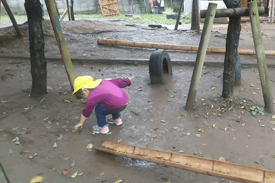 どんぐりを拾う子ども