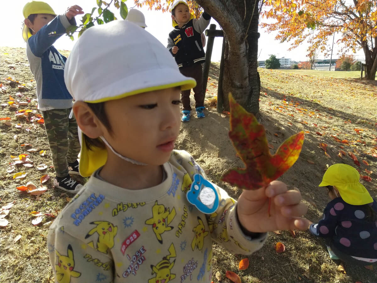 落ち葉を手にする子ども