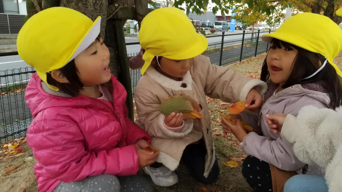 落ち葉の違いを伝え合う子どもたち