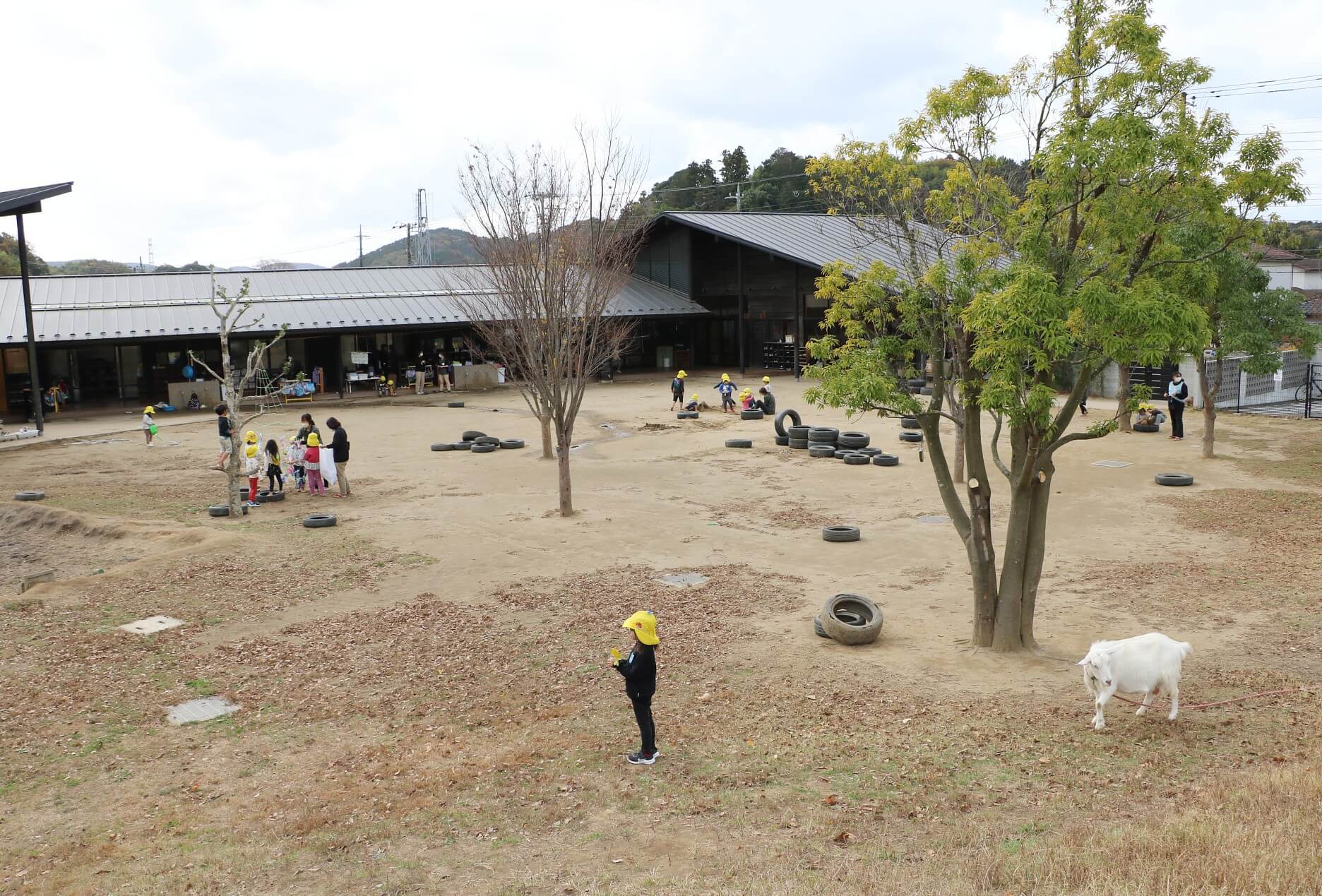 広大な園庭が自慢の宮下ルーム