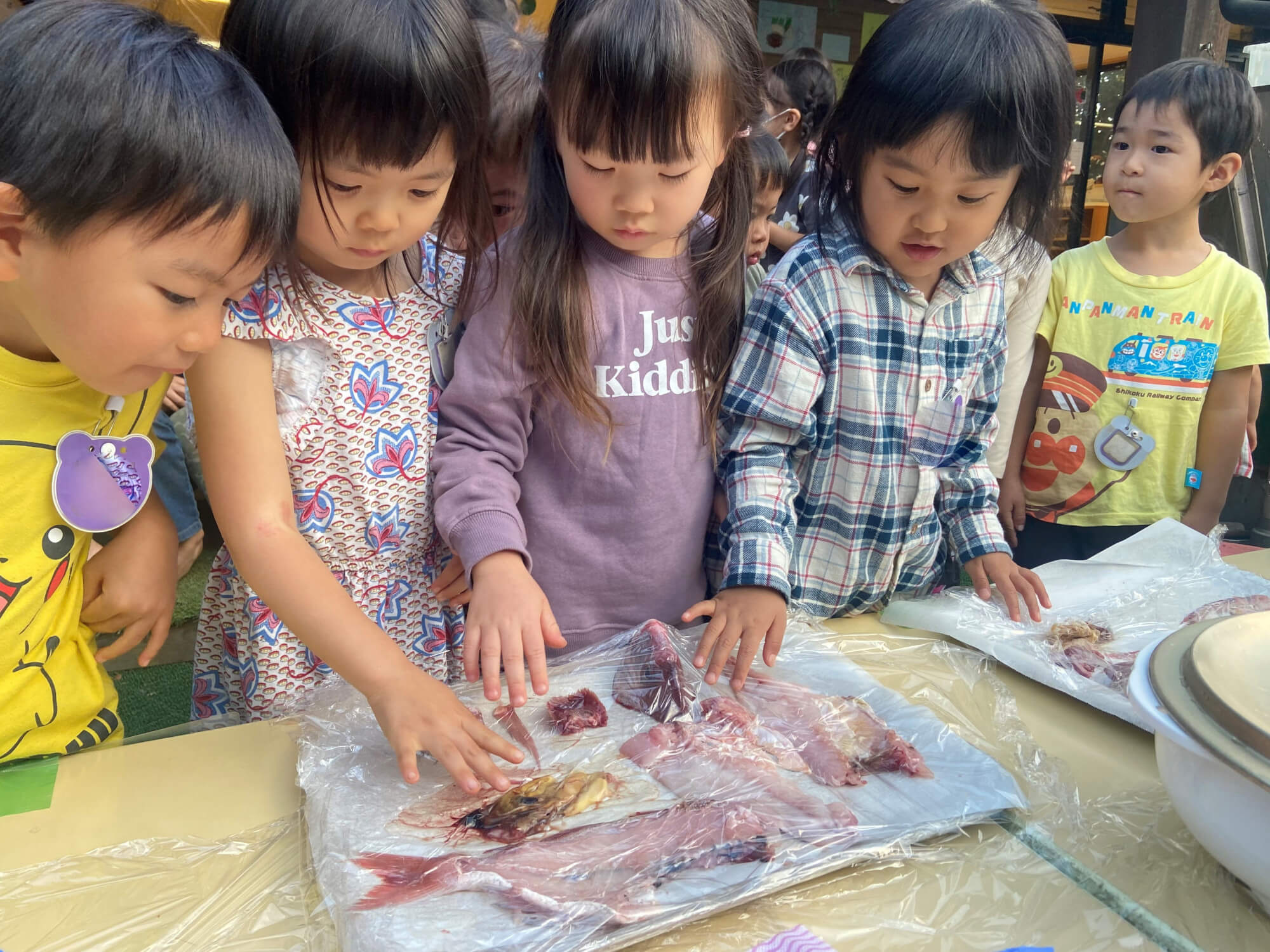 三枚におろした魚を触ってみる子どもたち