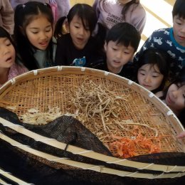 一宮どろんこ保育園「どんな変化があるかな？」