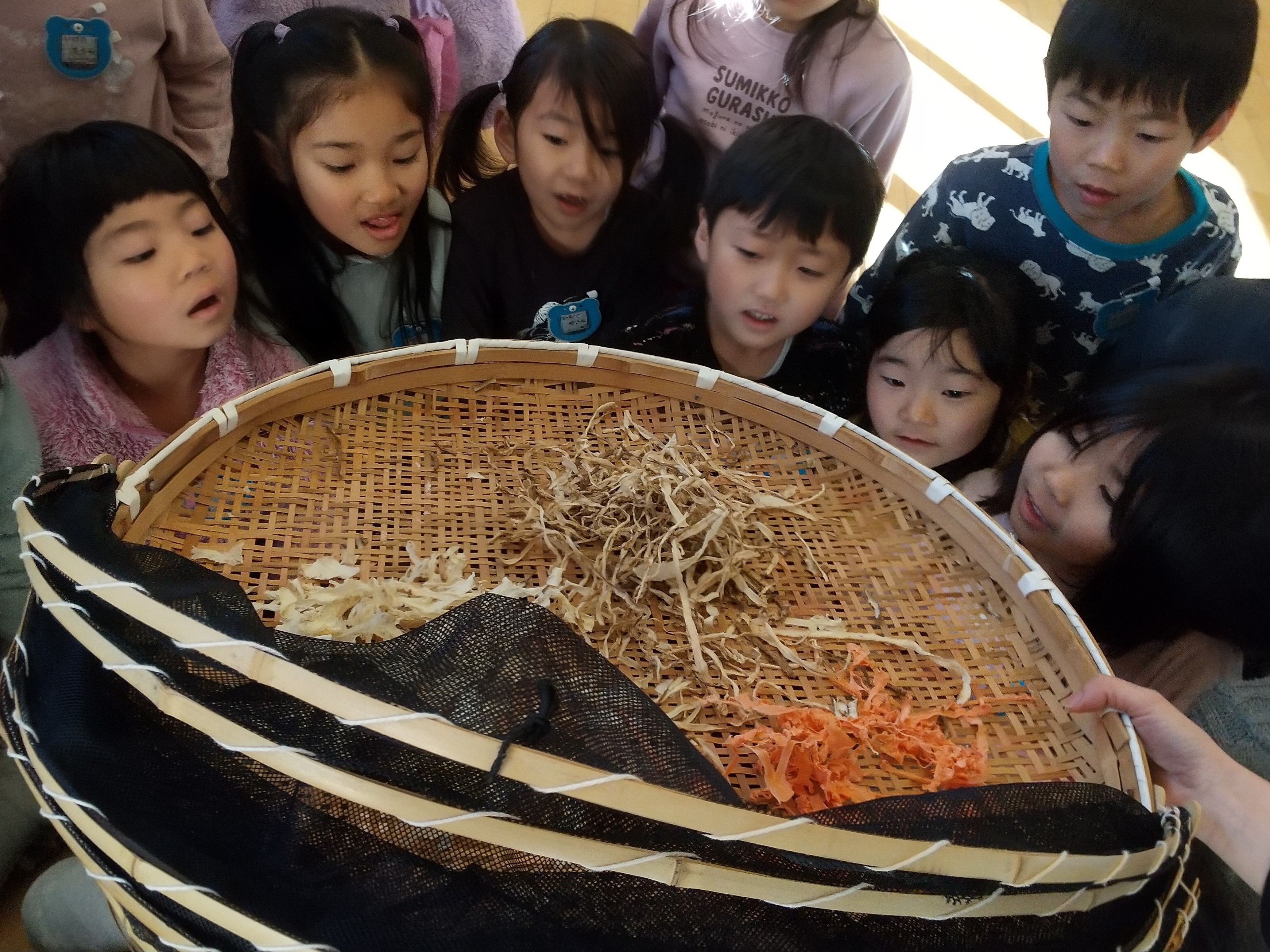 乾燥させた野菜を見る子どもたち