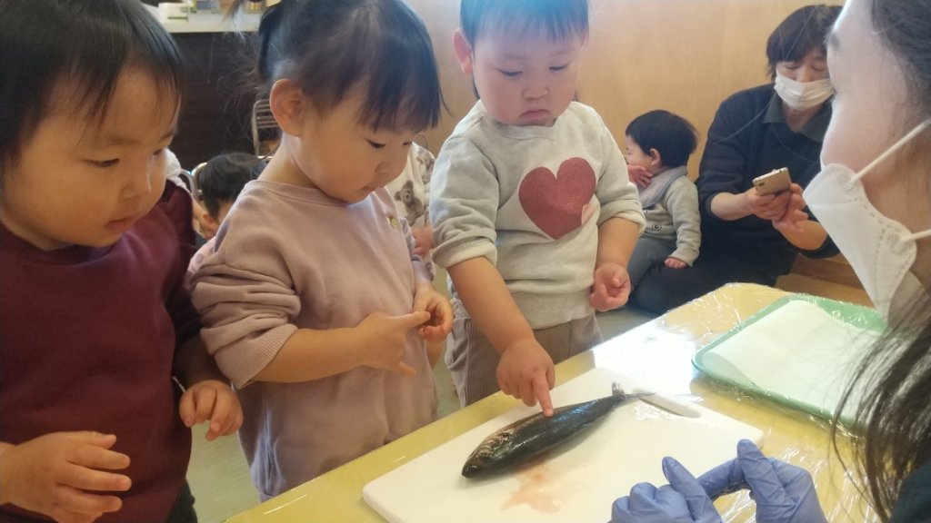 魚に触れる子どもたち