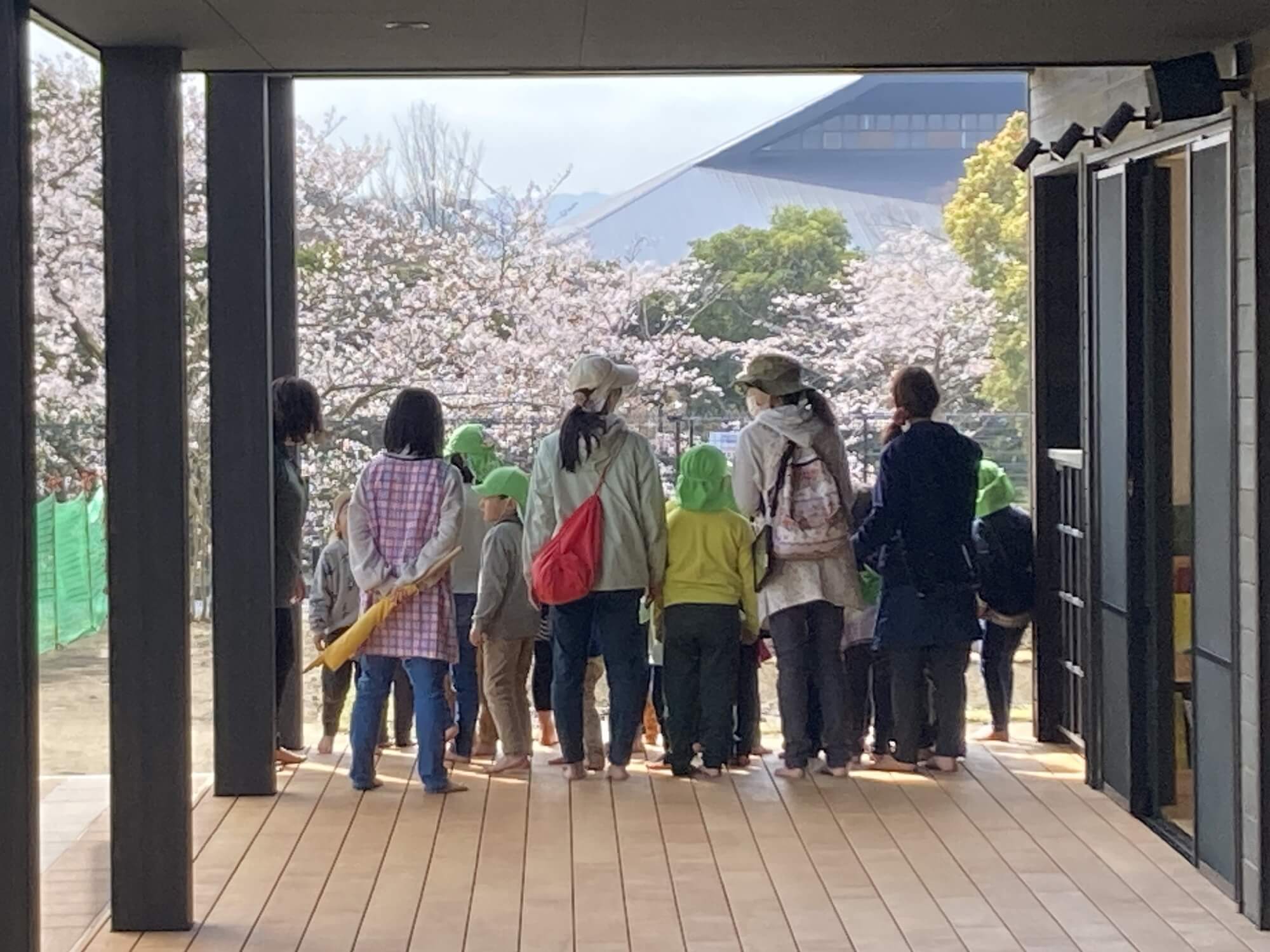 満開の桜を前に期待が膨らむ